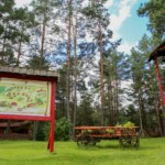 Detoks cyfrowy. Jak naprawdę się odłączyć podczas wyjazdu?