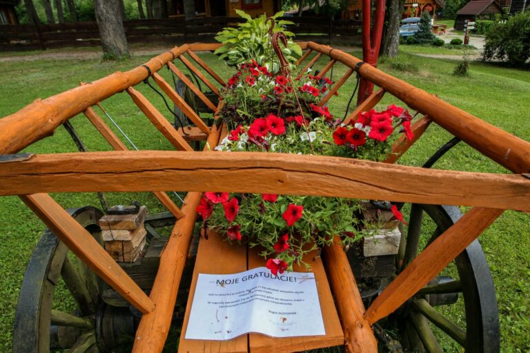 Domki i Pokoje na Mazurach, Basen, Restauracja Guzowy Piec 13 1