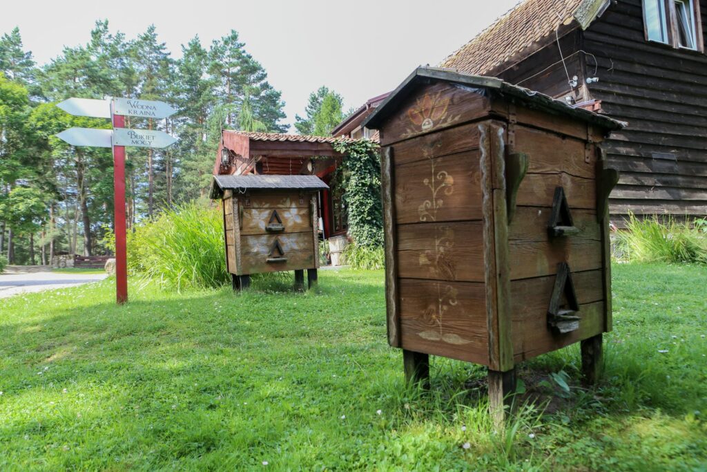 Domki i Pokoje na Mazurach, Basen, Restauracja Guzowy Piec 88 1