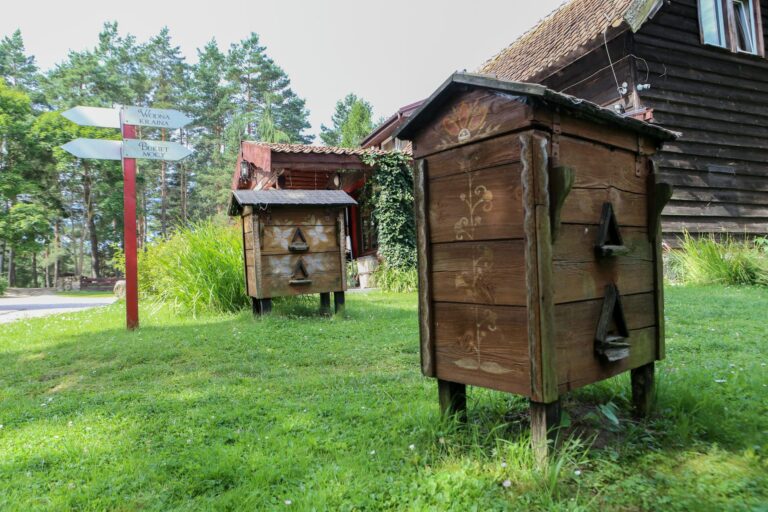 Domki i Pokoje na Mazurach, Basen, Restauracja Guzowy Piec 88 1