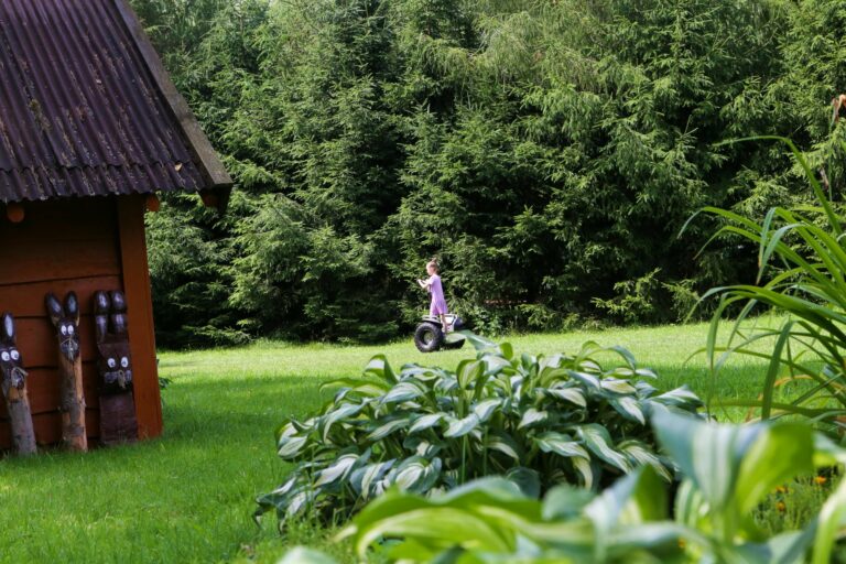Domki i Pokoje na Mazurach, Basen, Restauracja Guzowy Piec 95 1